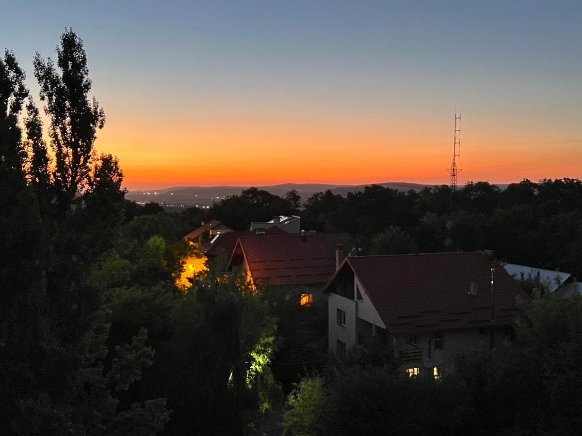 Altheda Living Zamca Daire Suceava Dış mekan fotoğraf